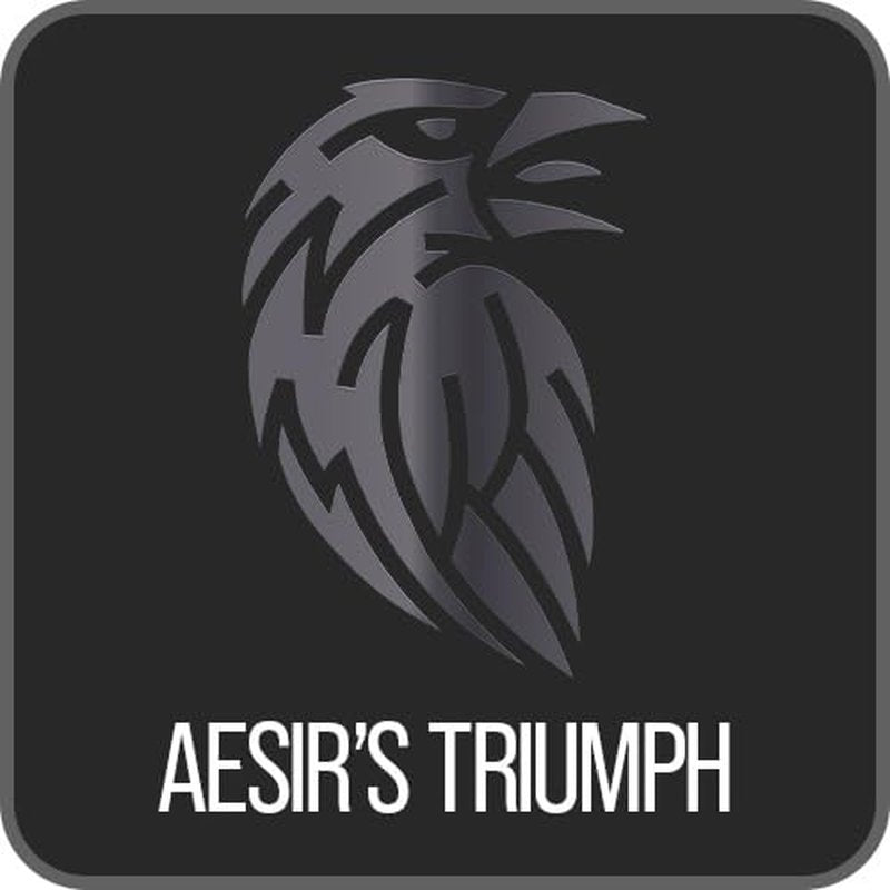 Men's Body Wash - Aesir's Triumph Natural Shower Gel | Skin Cleaning Agent - 240 mL / 8 fl. oz.