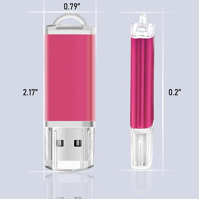 2GB USB Flash Drive 1 Pack Nicepicten Thumb Drives Zip Drive USB 2.0 Jump Flash Drive Memory Stick 2GB with Lanyards (Pink)