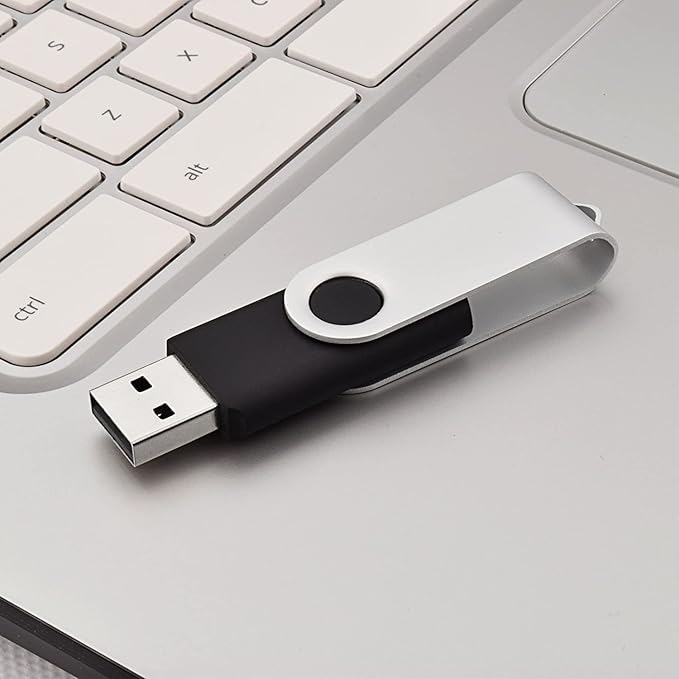 JUANWE 2GB USB Flash Drive 10 Packs, 2.0 Thumb Drives 360° Swivel Shell, USB Sticks Jump Drives for Storage, Mutipack Zip Drive Pen Drive for Computer/Car,Bulk Memory Sticks - Black
