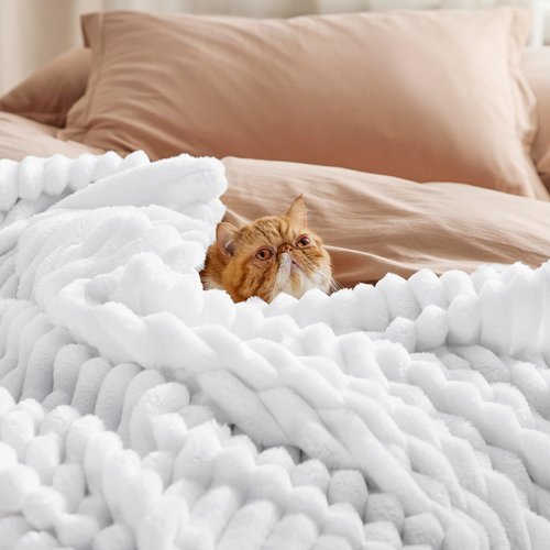 Bedsure GentleSoft White Twin XL Blanket for Bed - Cozy Soft Blankets for Women, Cute Small Fleece Throws for Girls, Birthday Gifts for Women Decor Gifts for Mom, Bright White, 66x90 Inches