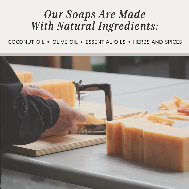 Plantlife Cassia Clove 6-pack Bar Soap - Moisturizing and Soothing Soap for Your Skin - Hand Crafted Using Plant-Based Ingredients - Made in California 4oz Bar