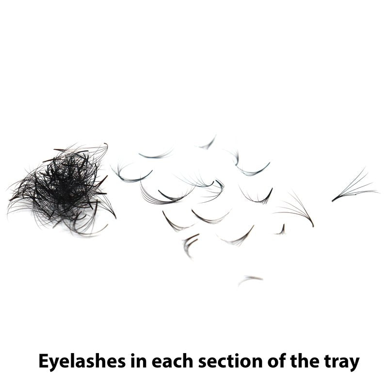 Lashmond 1000 Premade Fans Eyelash Extension Handmade Loose Volume Short Stem Eyelash Multiple Options 5D/7D Pre-made Fans 0.07mm Thickness C/D Curl 8mm-15mm Mixed Length Volume Eyelash Extensions mixed Length Eyelash in the tray (5D/D Curl)