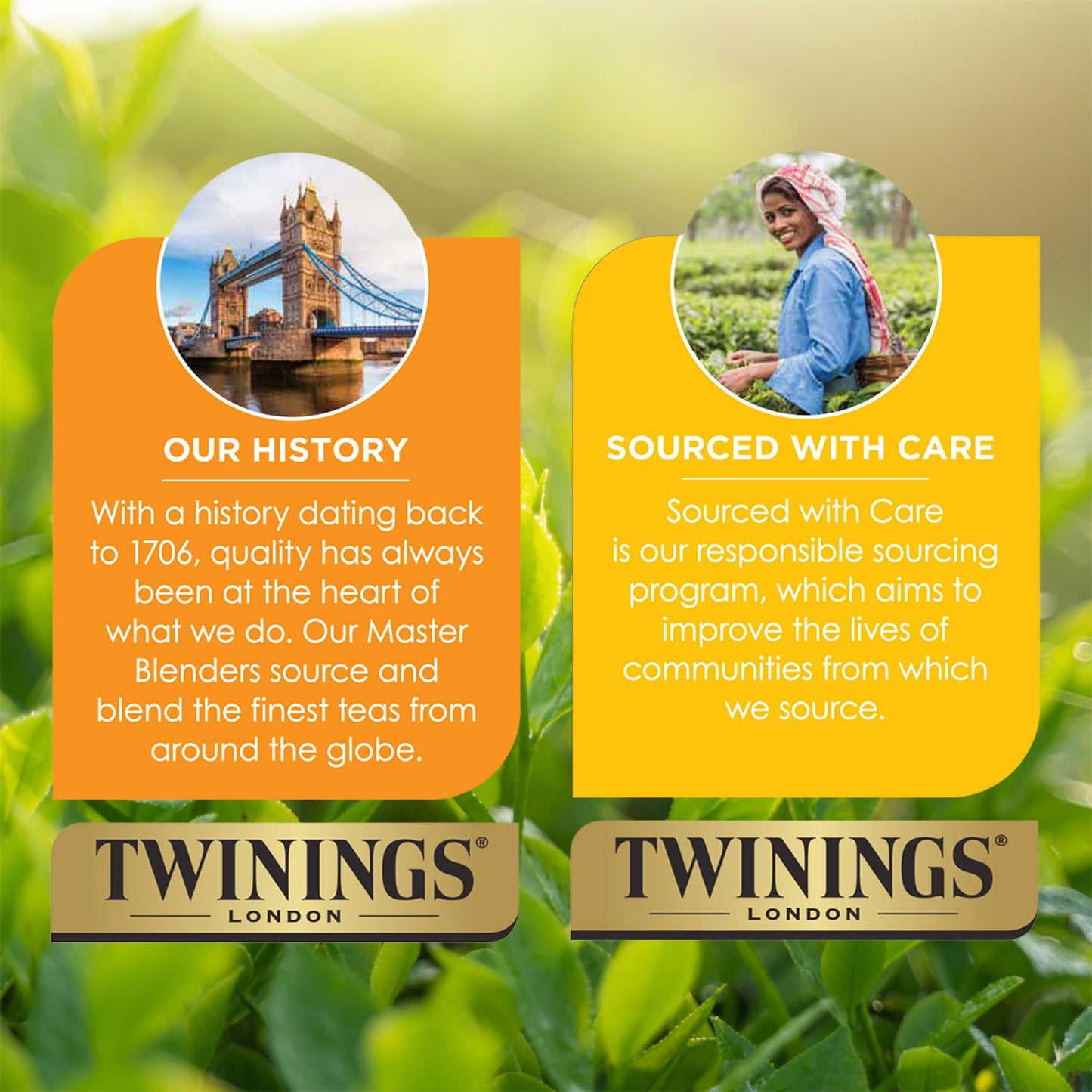 Twinings Wild Berries Tea - Caffeine-Free Herbal Infusion with Fresh Berry Flavors | 20 Individually Wrapped Bags (Pack of 2)