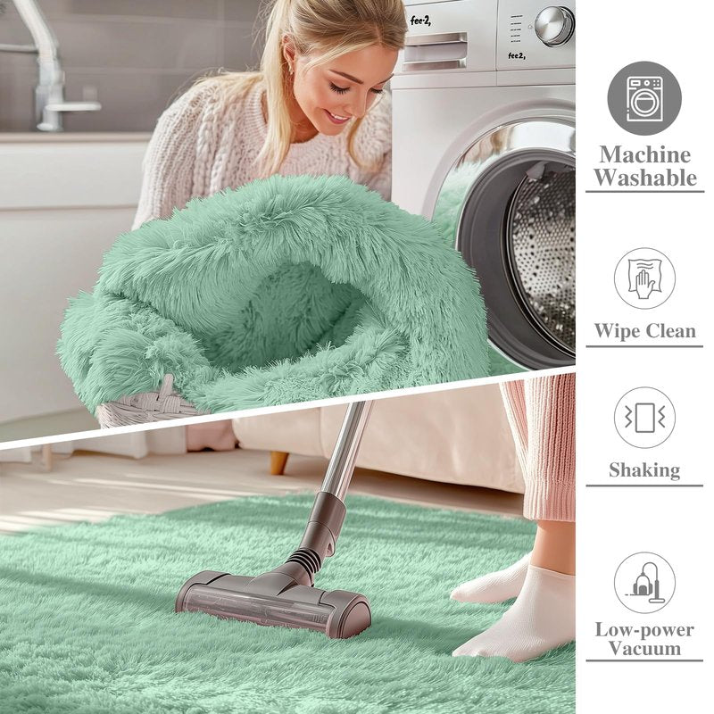 OLANLY 5x8 Machine Washable Large Area Rugs for Living Room, Bedroom, Soft Fluffy Shaggy Bedside Rug, Indoor Floor Carpet for Kids Girls and Boys, Dorms, Nursery, Home Decor Aesthetic, Mint Green