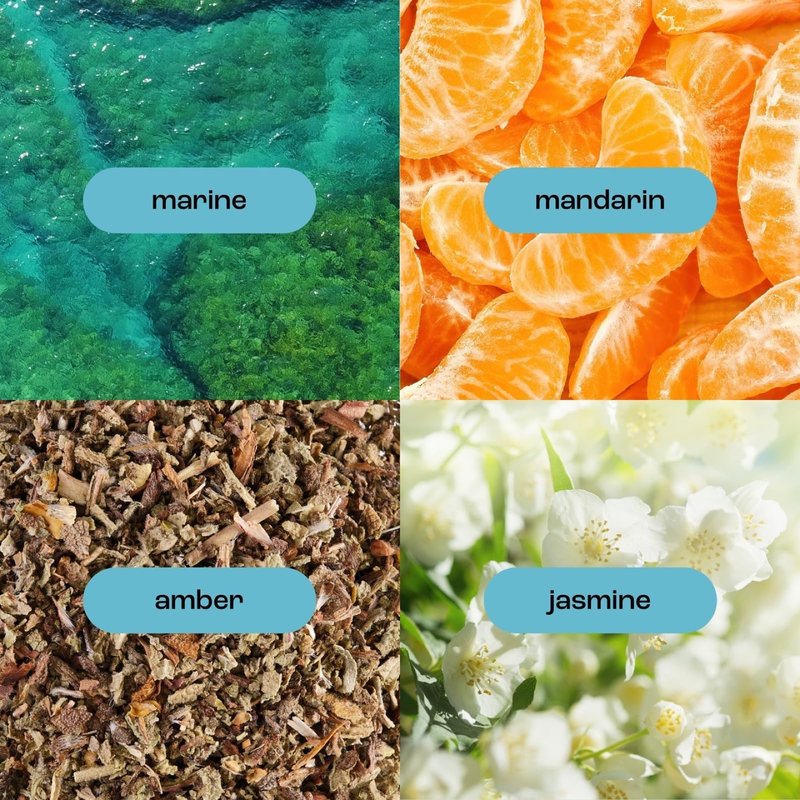 Natural Inspirations Sea Salt Citrus Exfoliating Face + Body Scrub 6oz