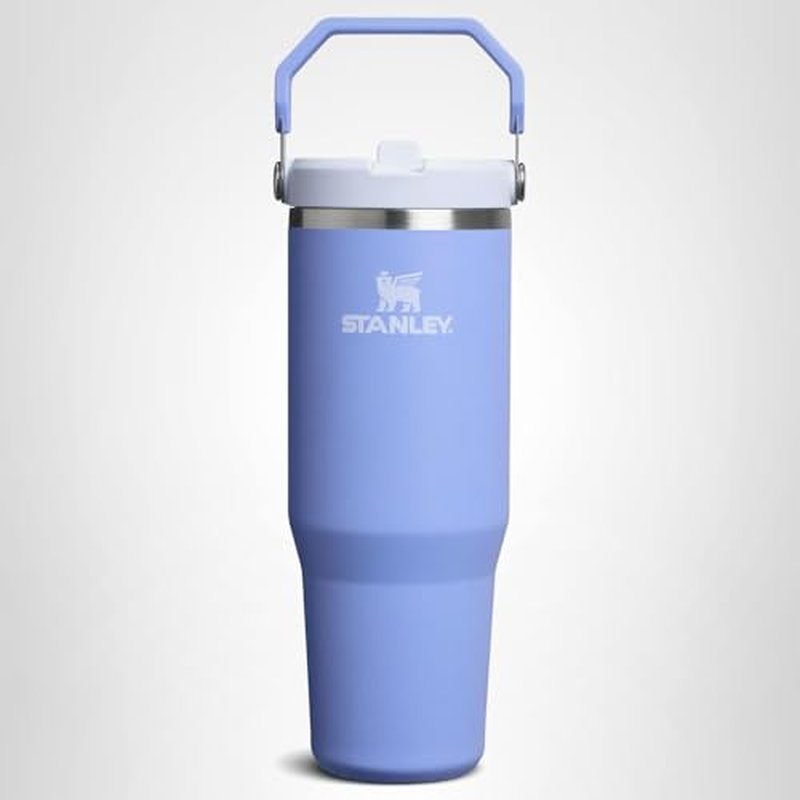 STANLEY IceFlow 2.0 Flip Straw Tumbler with Handle 30 oz | Twist On Lid and Flip Up Straw | Leak Resistant Water Bottle | Insulated Stainless Steel | BPA-Free | Hydrangea