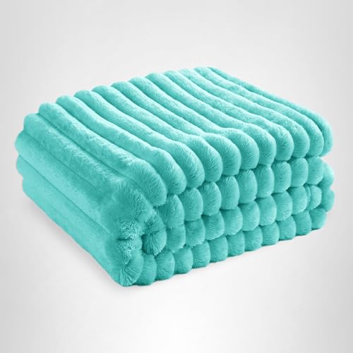 Bedsure GentleSoft Blue Fog Fleece Blanket for Couch - Cozy Soft Blankets for Women, Cute Small Throws for Girls, 60x80 Inches
