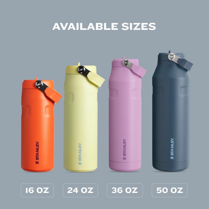 Stanley IceFlow Flip Straw 2.0 Water Bottle - 24 OZ Insulated Stainless Steel | Lightweight & Leak-Resistant | BPA-Free | Lilac