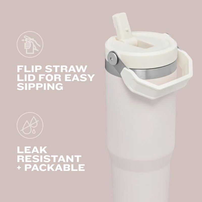 STANLEY IceFlow Flip Straw Tumbler with Handle 30 oz | Twist On Lid and Flip Up Straw | Leak Resistant Water Bottle | Insulated Stainless Steel |BPA-Free | Mist