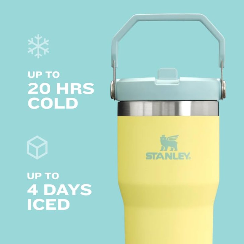 STANLEY IceFlow Flip Straw Tumbler with Handle 30 oz | Twist On Lid and Flip Up Straw | Leak Resistant Water Bottle | Insulated Stainless Steel |BPA-Free | Mist