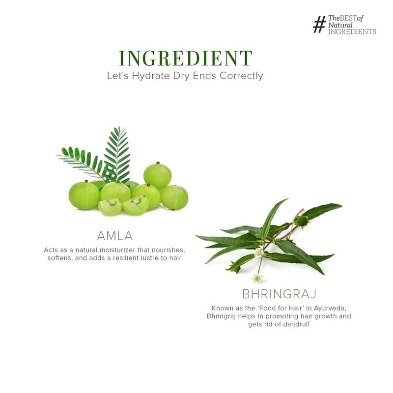 Amla Bhringraj Herbal Shampoo - Natural Hair Care | 210ml (Pack of 2)