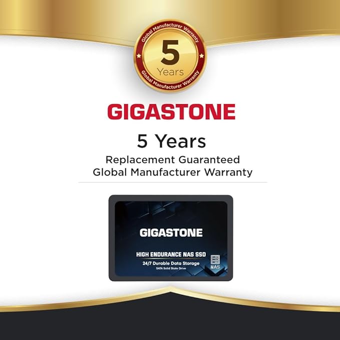Gigastone 【NAS Certified】 1TB High Endurance SSD (6-Pack) for Gaming/PC/Laptop/NAS SSD TLC 24/7 Reliable 2.5" SATA Internal Solid State Drives RAID Data Storage 2.5 inches SATA 3.0