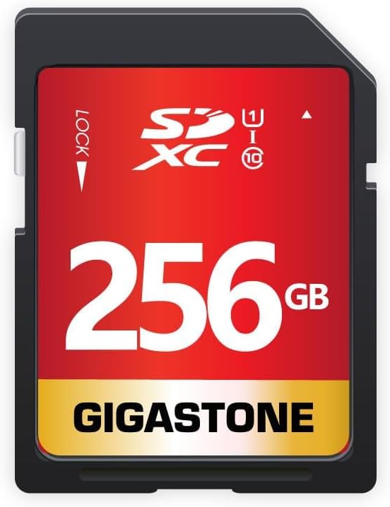 GIGASTONE 256GB SD Card UHS-I U1 Class 10 SDXC Memory Card High Speed Full HD Video Nikon Sony Pentax Kodak Olympus Panasonic Digital Camera, with 1 mini case