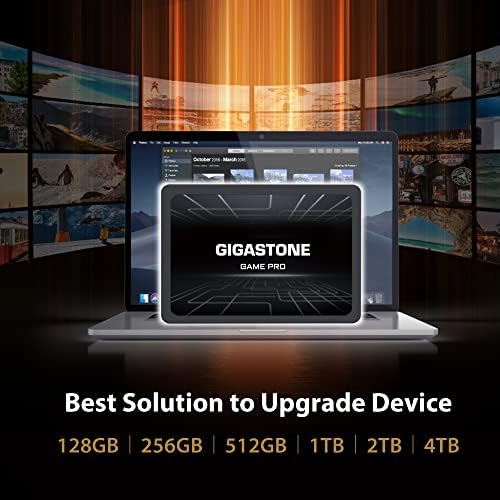 Gigastone 256GB SATA SSD (5-Pack) 2.5 inch SSD 520MB/s Upgrade Laptop PC Memory and Storage PS4 HDD Replacement 2.5" Internal Solid State Hard Drives SATA III SLC Cache 3D NAND Game Pro Performance