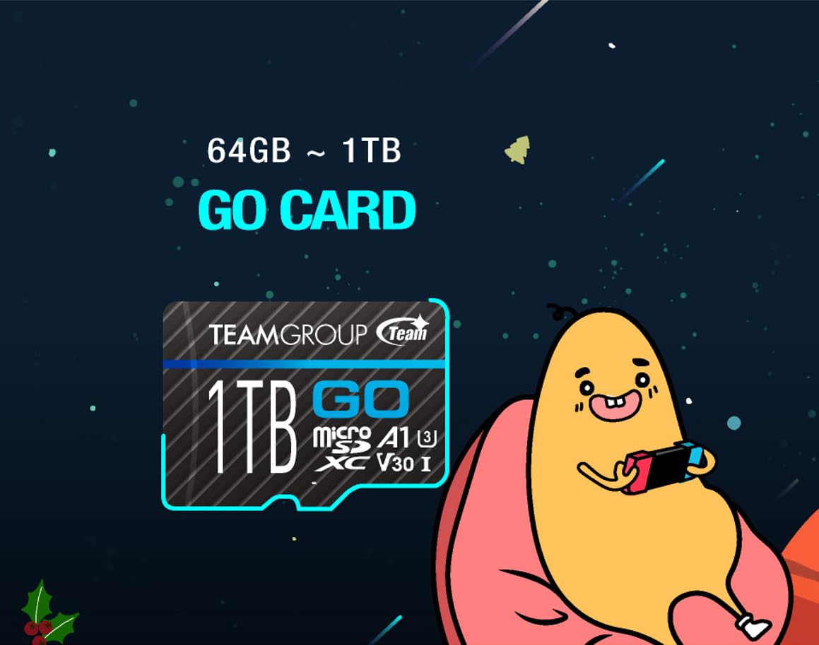 TEAMGROUP GO Card 128GB x 5 Pack MicroSDXC UHS-I U3 V30 4K for Action Cameras & Drone High Speed Flash Memory Card with Adapter for Outdoor Sports&Vlog, 4K Shooting,GoPro&Insta360&DJI TGUSDX128GU363