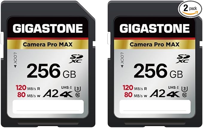 【5-Years Data Recovery】 GIGASTONE 256GB SD Card 2-Pack, 4K Camera Pro MAX, UHS-I A2 4K SDXC Memory Card High Speed 4K UHD Video Compatible with Kodak Digital Camera, with 2 Mini Cases