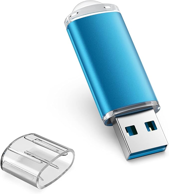 TOPESEL USB Flash Drive 256GB USB 3.0 Flash Drive Memory Stick Thumb Drives USB Stick High Speed 256G Thumb Drive Jump Drive Zip Drive for PC laptops，Car Audio(Blue)