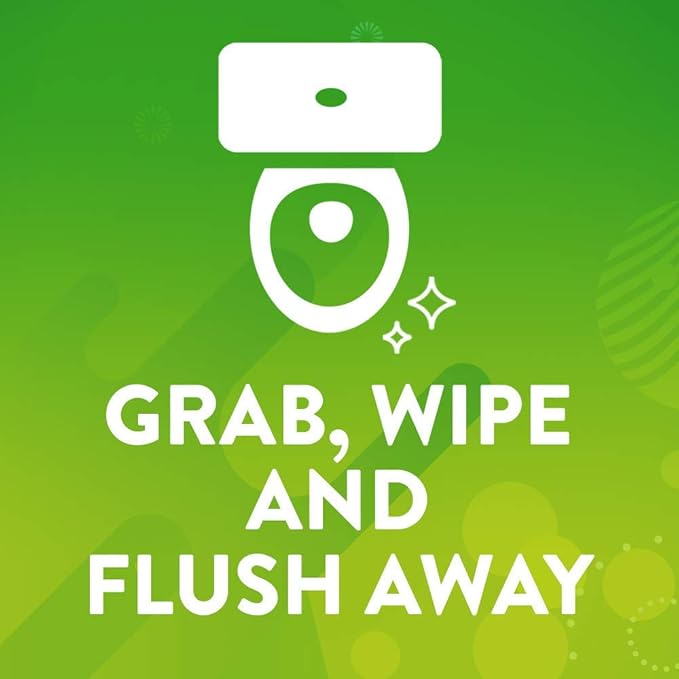 Antibacterial Bathroom Flushable Wipes, Citrus Action, 28 Count - 2 Pack