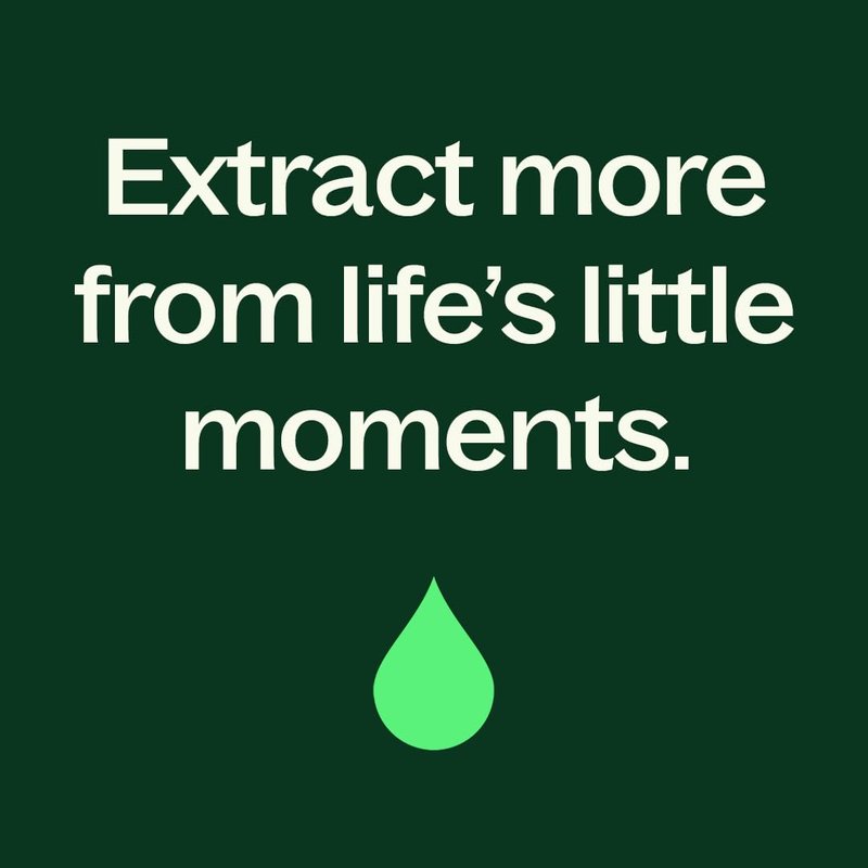 Plant Therapy Dark Spot Facial Oil 30 mL (1 oz) Visibly Reduces the Look of Dark Spots, and Scars, Promotes a More Even, Brighter-Looking Tone, Includes Vitamin C, Turmeric, and Squalane
