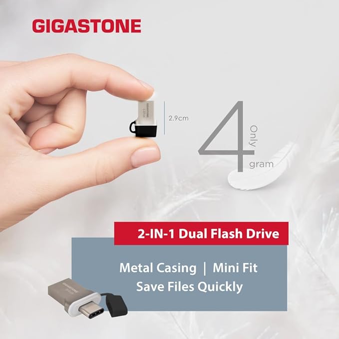 GIGASTONE 64GB Nano Luxus Dual USB Flash Drive, USB-C & USB-A, 100MB/s High-Speed Storage, Metal Design