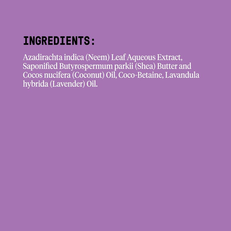 Alaffia EveryDay Shea Body Wash - Moisturizing Lavender Cleanser with Shea Butter & Neem | 32 Fl Oz