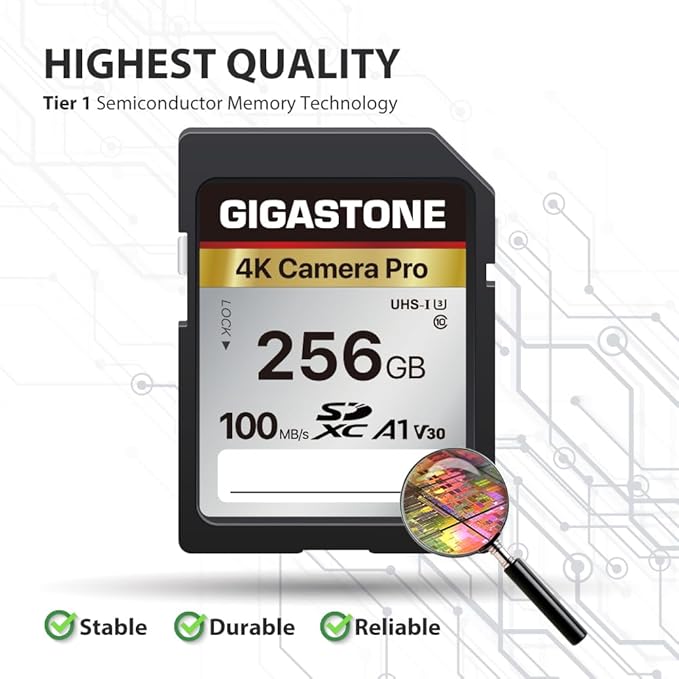 【5-Years Data Recovery】 GIGASTONE 256GB SD Card 2-Pack, 4K Camera Pro, UHS-I A1 V30 SDXC Memory Card 4K UHD Video Compatible with Digital Camera, with 2 Mini Cases