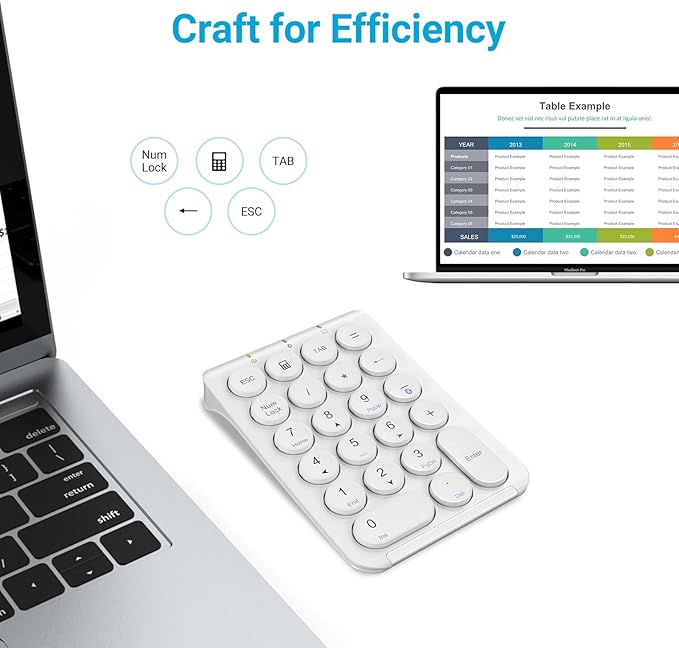 iClever KP08 Wireless Numeric Keypad, 22 Keys Bluetooth Number Pad Portable Number Keyboard, USB-C Rechargeable Numpad, Round Key, Data Entry, Compatible with Laptop, PC Desktop, Mac, Surface,Tablet