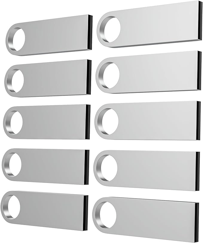ABLAZE 8GB Flash Drive 10 Pack, Metal USB 2.0 Thumb Drives with Keychains USB Sticks Pendrives (Sliver)