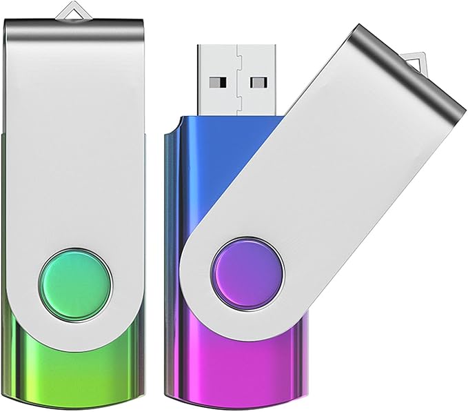ABLAZE 1GB Flash Drive 2 Pack, USB 2.0 Thumb Drives with Lanyards Swivel USB Memory Stick 4GB（Green and Purple