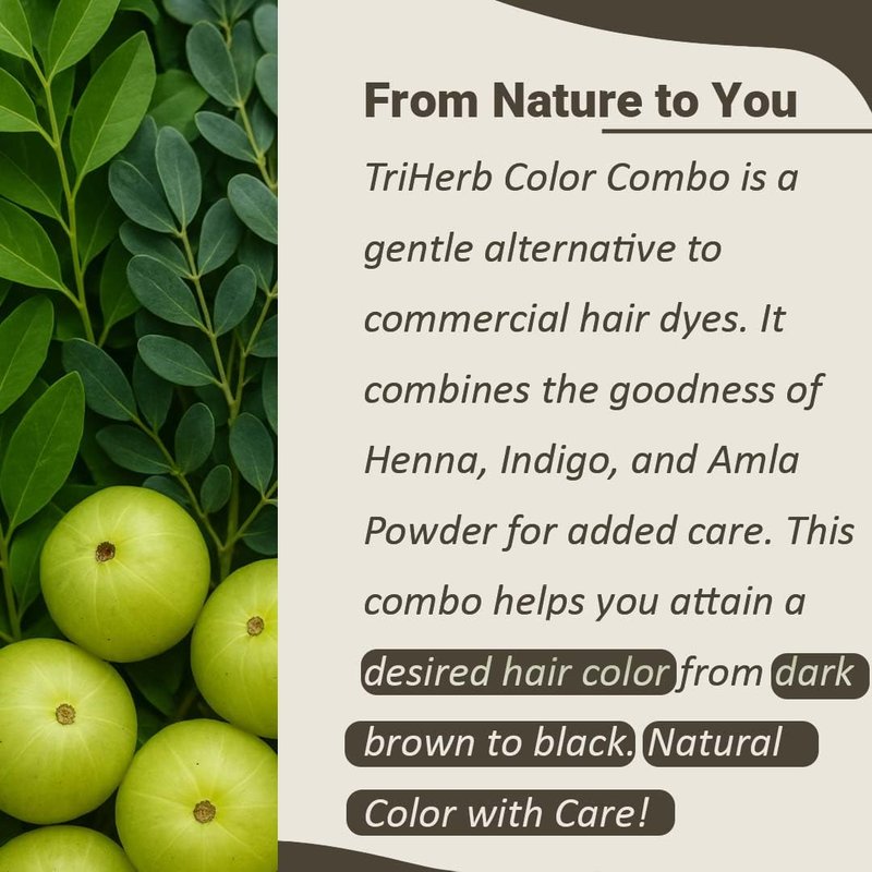 Mi Nature TriHerb Color Combo 300g (100g x 3) | Natural Care Kit with Henna, Indigo & Amla Powder | Colour With Care