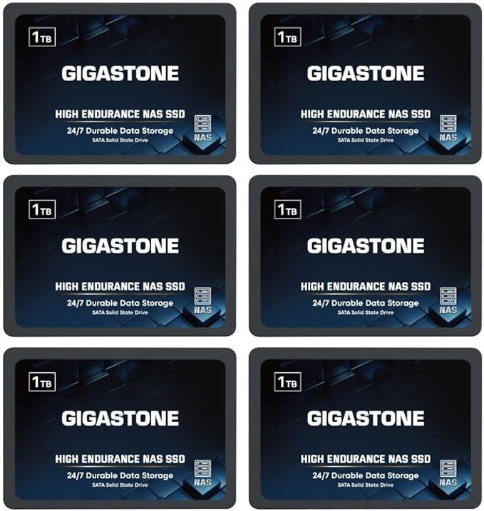 Gigastone 【NAS Certified】 1TB High Endurance SSD (6-Pack) for Gaming/PC/Laptop/NAS SSD TLC 24/7 Reliable 2.5" SATA Internal Solid State Drives RAID Data Storage 2.5 inches SATA 3.0