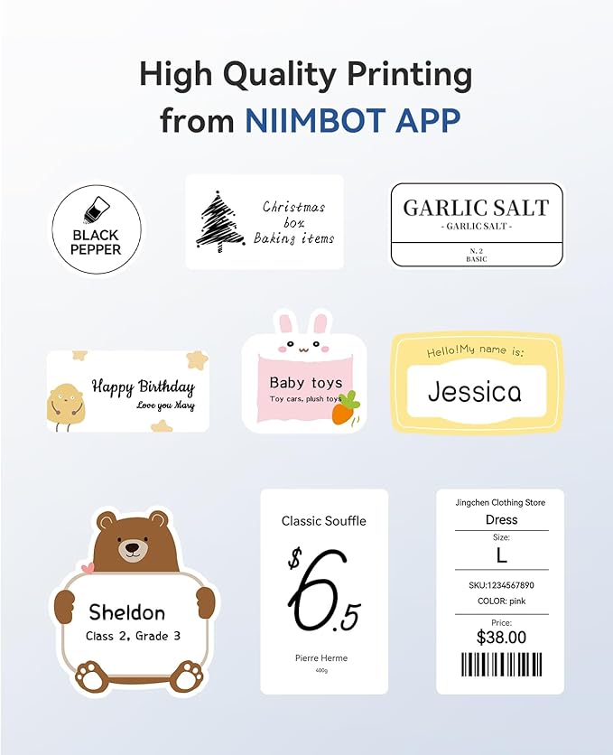 NIIMBOT B1 Label Maker Machine, Thermal Label Printer Easy to Use for Office, Home, Business, Came with 1 Roll White Label(Sliver)