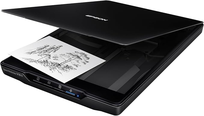 Epson Perfection V19 II Color Photo and Document Flatbed Scanner with 4800 dpi Optical Resolution, USB Power and High-Rise, Removable Lid