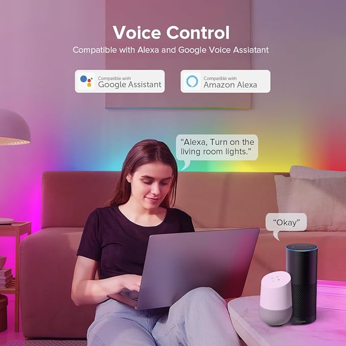BTF-LIGHTING DR03W SPI RGB 2.4G WiFi Controller Tuya APP/Smart Life/Google Home/Alexa Control Support WS2812B WS2811 WS2815 etc Addressable LED Strip Work with WR01RF RC03RFB RF Remote