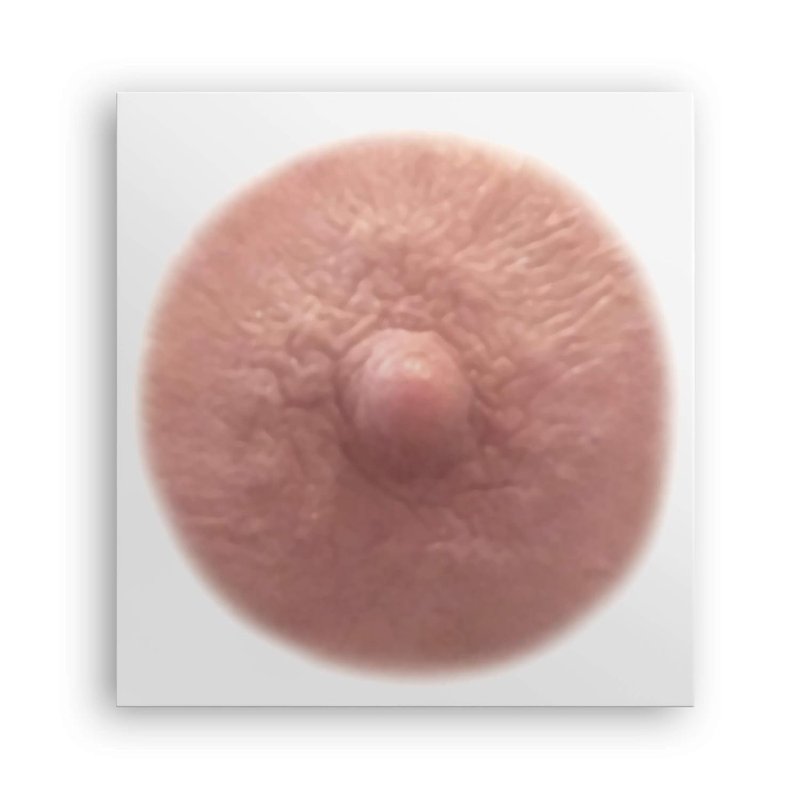 TataTattoos Realistic Temporary Nipple Tattoos - Non-Surgical Areola Covers for Mastectomy Recovery | Auburn, Medium (Pack of 10)