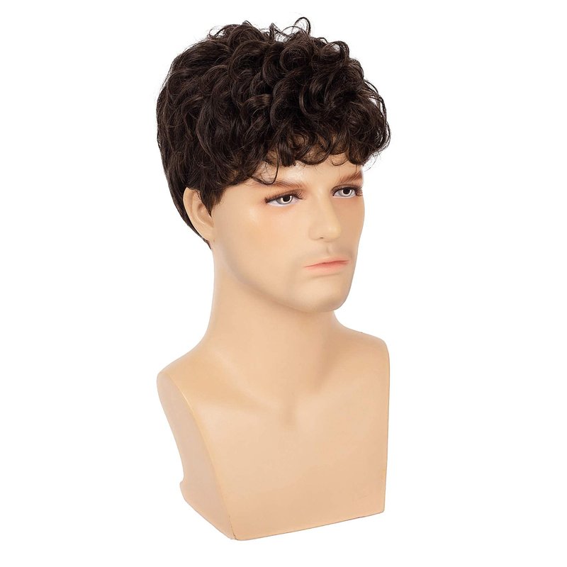 Swiking Men Brown Short Wigs Curly Fluffy Natural Synthetic Hair with Bangs Halloween Daily Full Wig for Male Guy