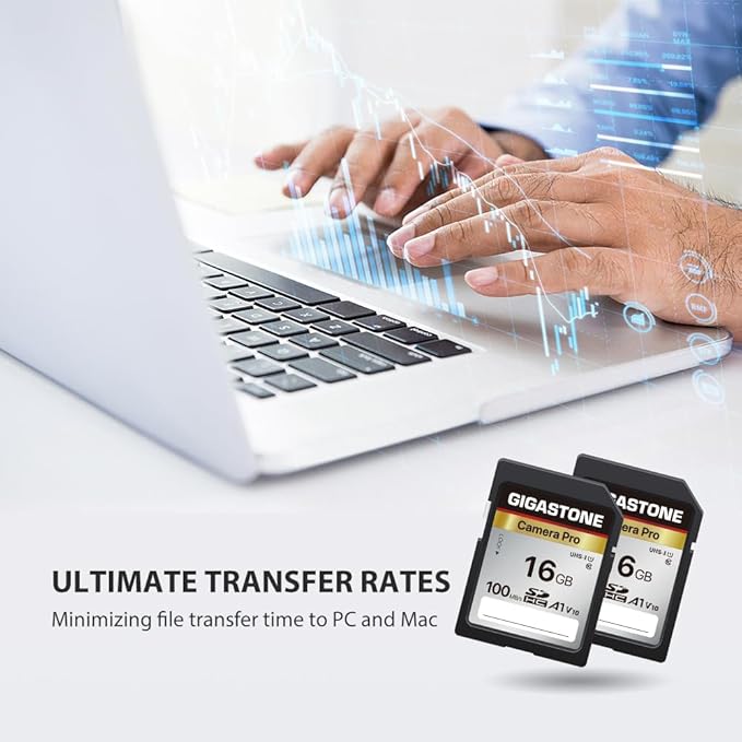 【5-Years Data Recovery】 GIGASTONE 16GB SD Card 2-Pack, Camera Pro, UHS-I A1 V10 SDHC Memory Card Compatible with SPYPOINT TACTACAM Trail Camera, with 2 Mini Cases.