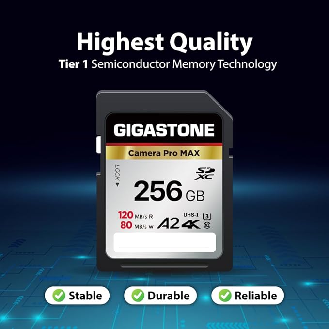 【5-Years Data Recovery】 GIGASTONE 256GB SD Card 2-Pack, 4K Camera Pro MAX, UHS-I A2 4K SDXC Memory Card High Speed 4K UHD Video Compatible with Kodak Digital Camera, with 2 Mini Cases
