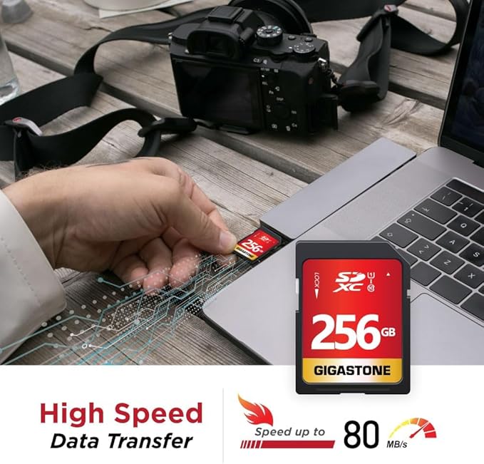 GIGASTONE 256GB SD Card UHS-I U1 Class 10 SDXC Memory Card High Speed Full HD Video Nikon Sony Pentax Kodak Olympus Panasonic Digital Camera, with 1 mini case