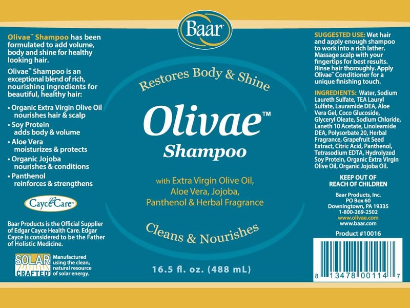 Baar Olivae Shampoo, Formulated with Organic Olive Oil to Nourish & Cleanse, Infused with Aloe Vera, Jojoba Oil & Proteins to Repair Dry Damaged Hair & Add Volume, 16.5 fl oz