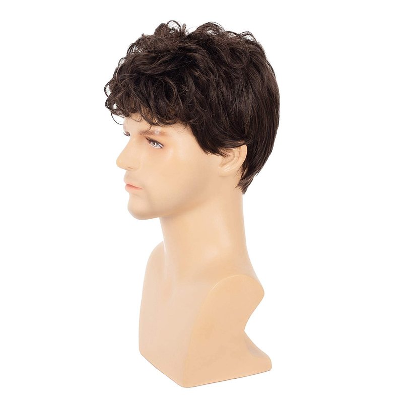 Swiking Men Brown Short Wigs Curly Fluffy Natural Synthetic Hair with Bangs Halloween Daily Full Wig for Male Guy