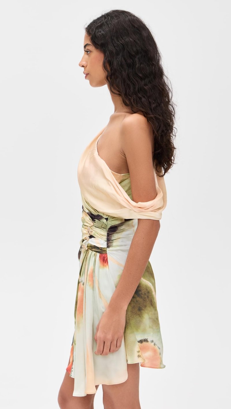AMUR Women's Elowen Print Mini Dress