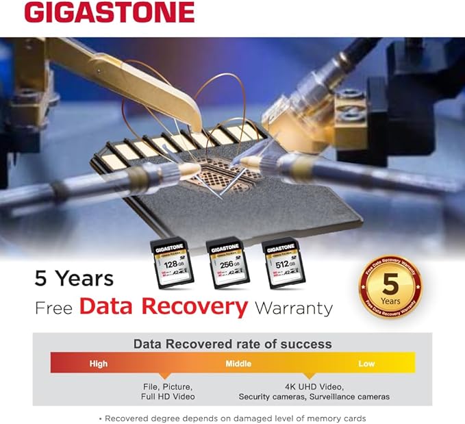 【5-Years Data Recovery】 GIGASTONE 256GB SD Card, 4K Camera Pro MAX, UHS-I A2 4K SDXC Memory Card High Speed 4K UHD Video Compatible with Kodak Digital Camera, with 1 Mini case