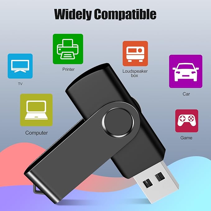 EASTBULL 2GB USB Flash Drive Bulk Thumb Drives 10 Pack with Lanyards USB 2.0 Memory Sticks Zip Drive Pen Drive for Storage and Backup Black 10PCS 2GB