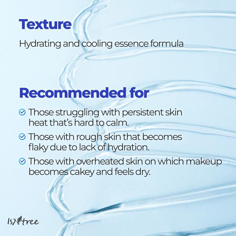 ISNTREE Ultra-Low Molecular Hyaluronic Acid Zinc Cooling Toner Pad (60 Pads)
