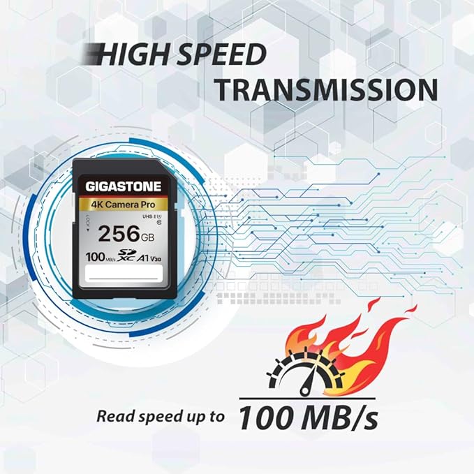 【5-Years Data Recovery】 GIGASTONE 256GB SD Card 2-Pack, 4K Camera Pro, UHS-I A1 V30 SDXC Memory Card 4K UHD Video Compatible with Digital Camera, with 2 Mini Cases