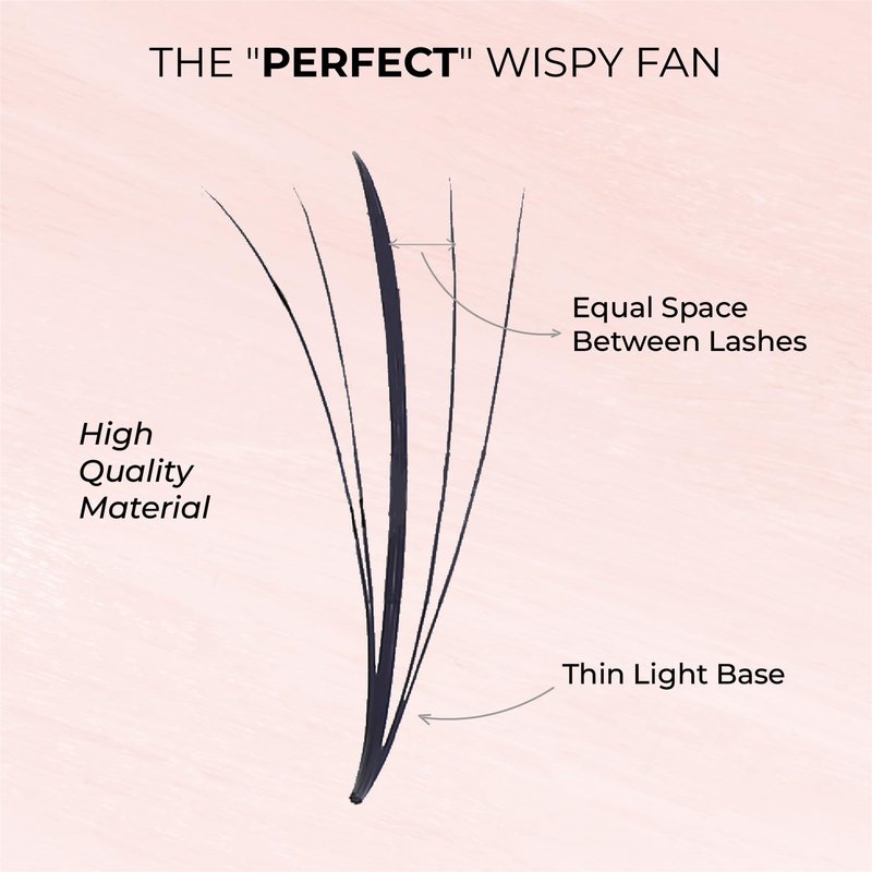 MDC LASHES 1000fans Promade Wispy Lash Extension Volume Lashes 0.05-0.07 Thickness, C/D/CC Curl, 8-18mm Loose Fans False Eyelashes 5D 7D 9D for Fluffy Eyelash Cluster (7D-0.07-C 14mm)