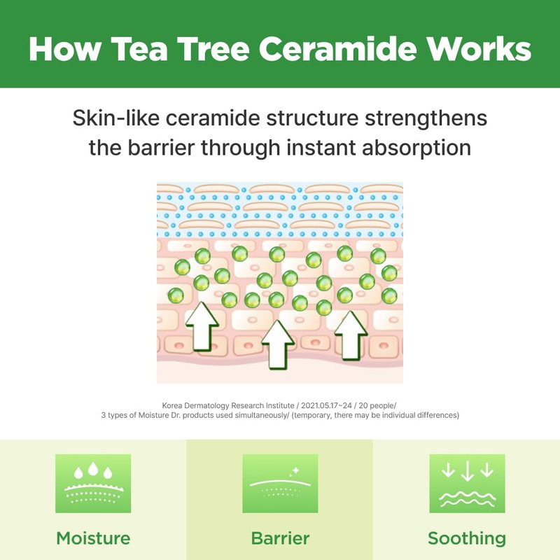 ISOI Moisture Dr. Mask Pack, Hydrating & Soothing Korean Sheet Mask for Face with Tea Tree, Ceramide & Hyaluronic Acid, Nourishing Skin Barrier Care, Korean Skin Care (10EA)