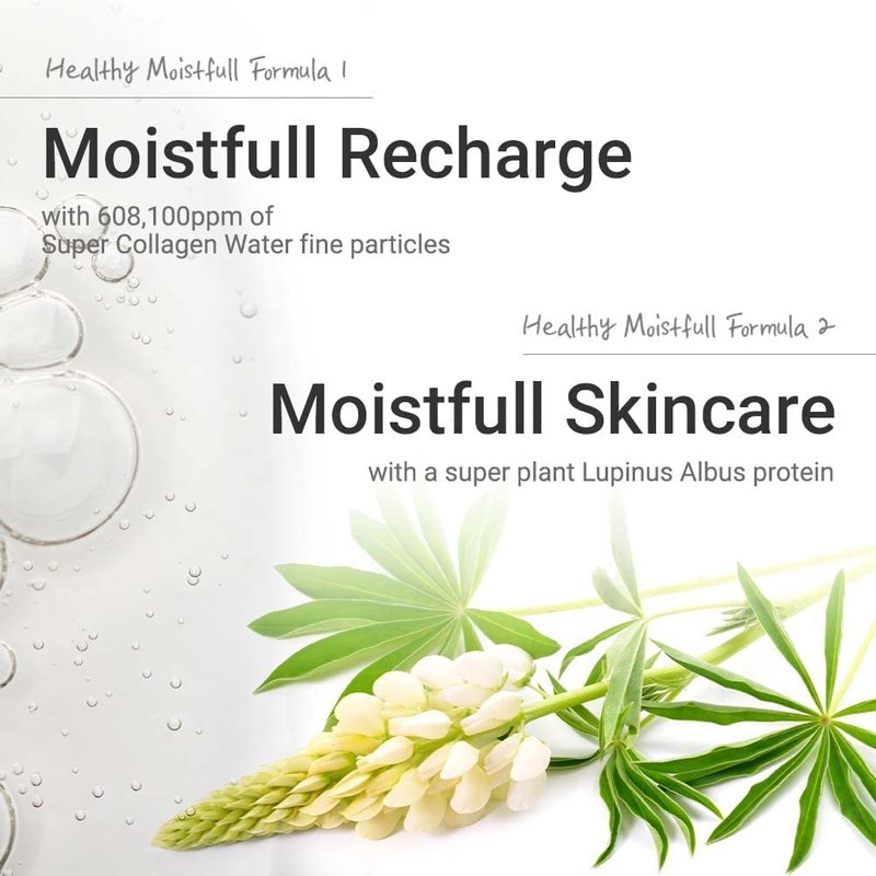 ETUDE Moistfull Collagen Cream - Deep Moisturizing Face Moisturizer with Macadamia Oil & Lupinus Protein | 2.53 Fl Oz