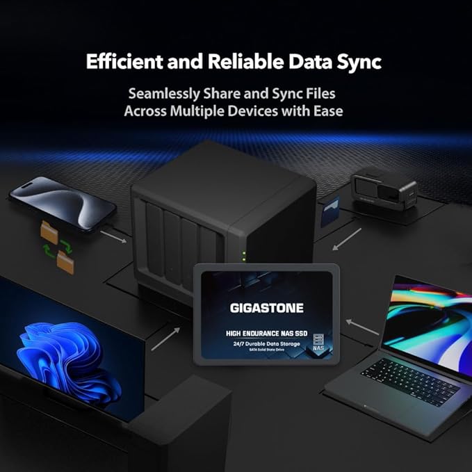 Gigastone 【NAS Certified】 1TB High Endurance SSD (24-Pack) for Gaming/PC/Laptop/NAS SSD TLC 24/7 Reliable 2.5" SATA Internal Solid State Drives RAID Data Storage 2.5 inches SATA 3.0